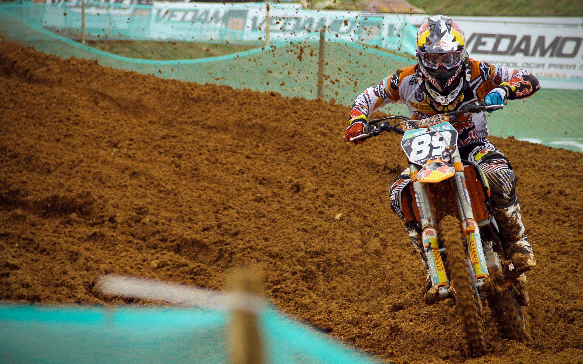 伤病中的纽带，哈利伯顿与塔图姆的对话如何重塑竞争与友谊